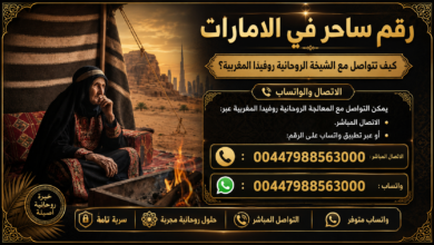 chatgpt image 19 يوليو 2026، 06 59 00 ص